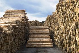 Madera