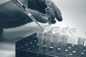 Laboratorio