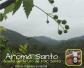 aroma-santo-aceite-fruto-1.jpg
