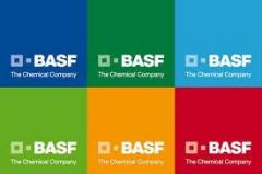 BASF ofrece cursos para la industria de pinturas